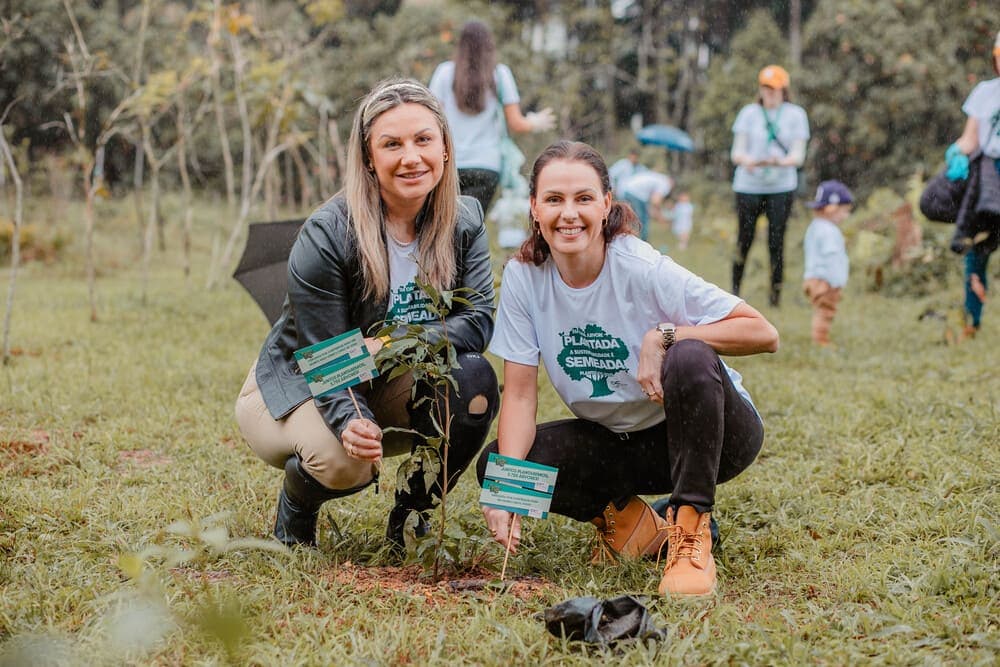 DC Planting — programa de responsabilidade socioambiental